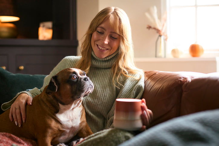 Creating a Calm Morning Routine with Your Dog
