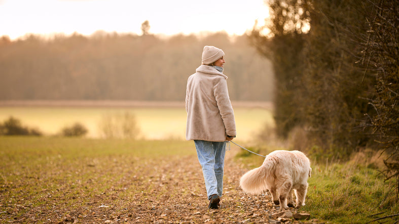 Person walking her golden retriever in a peaceful countryside at sunset - finding the right balance between short and long dog walks.